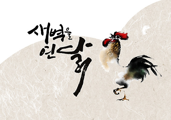 PSD 한마리 일러스트 캘리그라피 글자캘리그라피 사람없음 가축 새벽 닭 오픈 수탉 국내일러스트 자연요소 동물 1 조류 수컷 파일형식