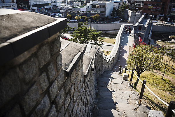 포토 JPG 주간 나무 한국전통 사람없음 야외 계단 세계문화유산 벽돌담 수원 성곽길 화성시 국내포토 자연요소 식물 전통 길 벽돌 한국 담장 문화재 경기도 파일형식