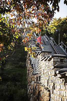 포토 JPG 주간 나무 한국전통 풍경 사람없음 야외 계단 세계문화유산 벽돌담 수원 성곽길 화성시 국내포토 자연요소 식물 전통 길 벽돌 한국 담장 문화재 경기도 파일형식