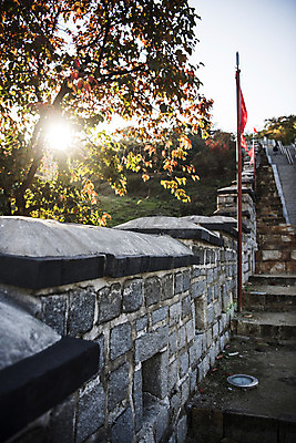 포토 JPG 주간 나무 한국전통 사람없음 야외 햇빛 반사 계단 세계문화유산 깃발 수원 성곽길 화성시 국내포토 자연요소 식물 전통 길 한국 태양 문화재 경기도 파일형식