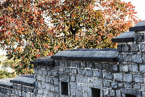 포토 JPG 주간 나무 한국전통 사람없음 야외 세계문화유산 벽돌담 수원 성곽길 화성시 국내포토 자연요소 식물 전통 길 벽돌 한국 담장 문화재 경기도 파일형식