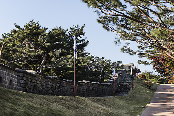 포토 JPG 주간 한국전통 풍경 사람없음 야외 계단 세계문화유산 깃발 소나무 성 기와지붕 벽돌담 수원 성곽길 화성시 국내포토 자연요소 나무 전통 건축물 길 지붕 벽돌 한국 기와 담장 문화재 경기도 파일형식