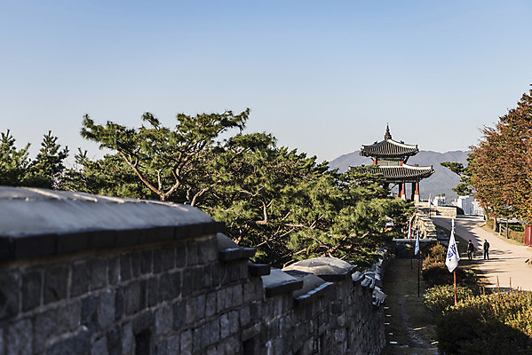 포토 JPG 주간 나무 한국전통 길 풍경 사람없음 야외 세계문화유산 깃발 정자 기와지붕 벽돌담 수원 성곽길 화성시 국내포토 자연요소 식물 전통 건축물 지붕 벽돌 한국 기와 담장 문화재 경기도 파일형식