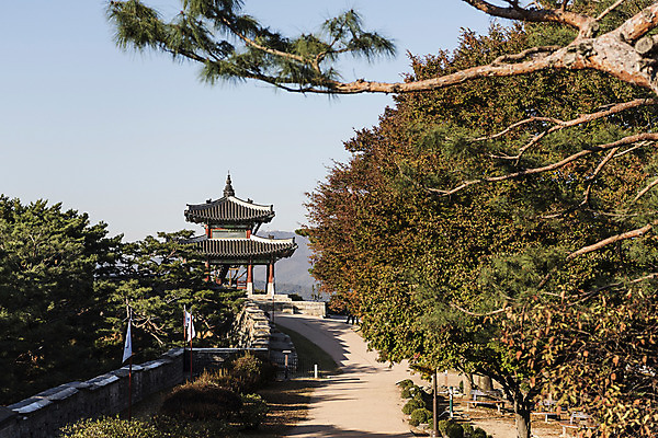 포토 자연요소 식물 전통 건축물 길 벽돌 한국 담장 문화재 경기도 파일형식 깃발 벽돌담 나무 성곽길 사람없음 풍경 한국전통 세계문화유산 화성시 수원 JPG 야외 주간 정자 국내포토