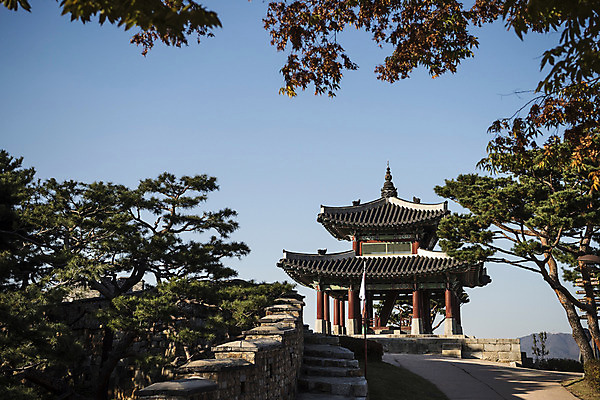 포토 JPG 주간 한국전통 풍경 사람없음 야외 계단 세계문화유산 소나무 성 정자 벽돌담 수원 성곽길 화성시 국내포토 자연요소 나무 전통 건축물 길 벽돌 한국 담장 문화재 경기도 파일형식