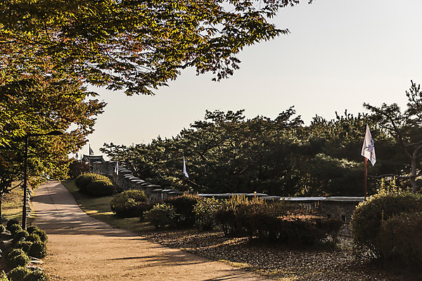 포토 JPG 주간 나무 한국전통 길 자연 풍경 사람없음 야외 세계문화유산 깃발 벽돌담 수원 화성시 국내포토 자연요소 식물 전통 벽돌 한국 담장 문화재 생태계 경기도 파일형식