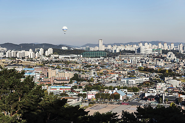포토 JPG 주간 나무 한국 사람없음 야외 건물 마을 도시 수원 화성시 국내포토 자연요소 식물 건축물 아시아 경기도 파일형식