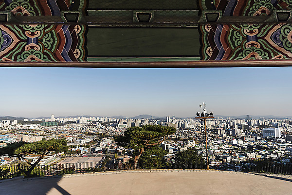 포토 JPG 주간 한국전통 지붕 사람없음 야외 전통문양 세계문화유산 소나무 빌딩숲 수원 화성시 국내포토 자연요소 나무 전통 문양 한국 빌딩 문화재 경기도 파일형식
