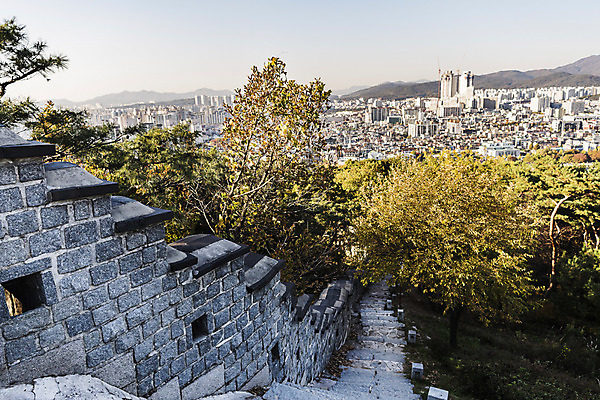 포토 JPG 주간 나무 한국전통 자연 풍경 사람없음 야외 건물 계단 마을 세계문화유산 벽돌담 돌담길 수원 성곽길 화성시 국내포토 자연요소 식물 전통 건축물 길 벽돌 한국 돌담 담장 문화재 생태계 경기도 파일형식