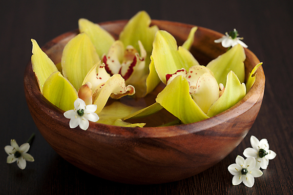 포토 JPG 해외이미지 식물 꽃잎 꽃 건강 사람없음 목재 장식 초록색 물 노란색 꽃병 스파 침묵 벚꽃 난초 사발 허브 데이지 냄새 아로마 아로마테라피 테라피 돌봄 안락 해외202004 해외포토 자연요소 나무 컬러 컨셉 재료 모션 뷰티 소리 사기그릇 파일형식 이미지허브