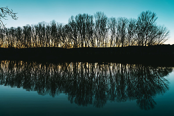 포토 JPG 해외이미지 나무 구름 계절 실루엣 호수 바다 백그라운드 오렌지 자연 벽지 하늘 날씨 풍경 사람없음 야외 물 여름 파란색 빛 강 컬러풀 햇빛 태양 반사 노란색 일출 맑음 어둠 침묵 황혼 일몰 새벽 안개 가을 황금 숲 장면 내추럴 수평선 해외202004 해외포토 자연요소 식물 컬러 과일 촬영기법 노을 소리 생태계 파일형식 이미지허브