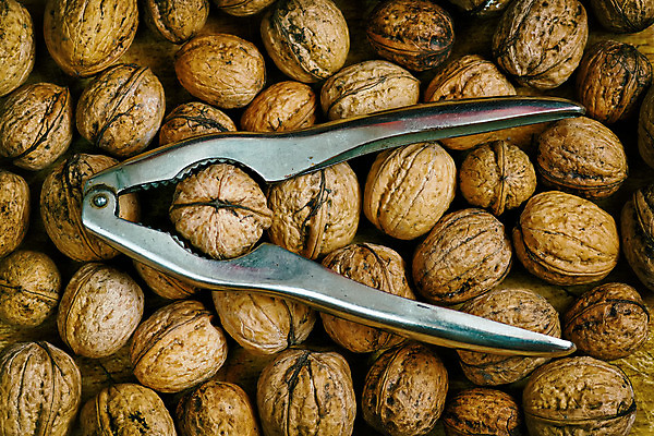 포토 JPG 해외이미지 음식 백그라운드 다이어트 재료 건조 건강 씨앗 사람없음 목재 갈색 쌓기 크래커 견과류 껍질 가을 신선 그룹 유기농 호두 내추럴 단절 채식주의자 해외202004 해외포토 나무 식물 웰빙 계절 컬러 모션 쿠키 채식 파일형식 이미지허브