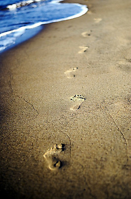 포토 JPG 해외이미지 길 모래 파도 바다 여행 백그라운드 자국 맨발 자연 휴가 휴식 해변 사람없음 야외 물 모래사장 평화 맑음 산책 자유 탐험 고독 인쇄 발자국 단계 선로 양발 자취 파라다이스 혼자 각인 해외202004 해외포토 자연요소 감정 컨셉 발 날씨 생태계 파일형식 이미지허브