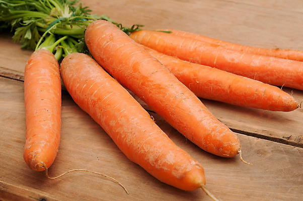 포토 JPG 해외이미지 식물 음식 잎 농업 다이어트 채소 오렌지 재료 건강 사람없음 목재 초록색 농장 정원 당근 수확 성장 시골 신선 다발 유기농 원예 날것 뿌리 내추럴 밭일 생식 숙성 채식주의자 해외202004 해외포토 나무 웰빙 산업 컬러 과일 뿌리채소 취미 채식 파일형식 이미지허브