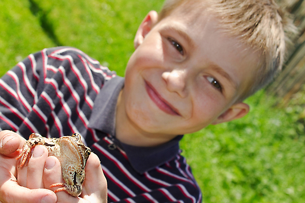 포토 JPG 해외이미지 동물 손 남자 행복 어린이 컨셉 손가락 자연 휴가 관리 개구리 한명 사람 소년 야외 초록색 여름 환경 잡기 닫기 작음 호기심 내추럴 취급주의 해외202004 해외포토 1 계절 감정 컬러 모션 양서류 경고 신체부위 크기 생태계 파일형식 이미지허브