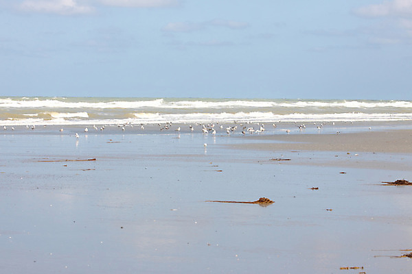 포토 JPG 해외이미지 구름 계절 모래 바다 여행 자연 하늘 휴가 휴식 따뜻함 풍경 사람없음 야외 물 여름 파란색 햇빛 태양 우주 맑음 뜨거움 휴양지 장면 내추럴 수평선 해외202004 해외포토 자연요소 컬러 컨셉 날씨 장소 생태계 파일형식 이미지허브