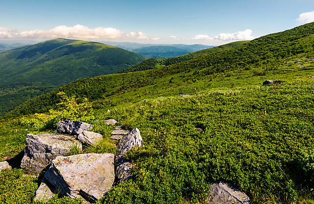 포토 JPG 해외이미지 백그라운드 자연 아침 산 풍경 사람없음 야외 초록색 여름 환경 하이킹 큼 땅 언덕 그림 산등성이 거인 산악지대 땅바닥 해외202004 해외포토 주간 계절 컬러 레저 바닥 크기 생태계 파일형식 이미지허브