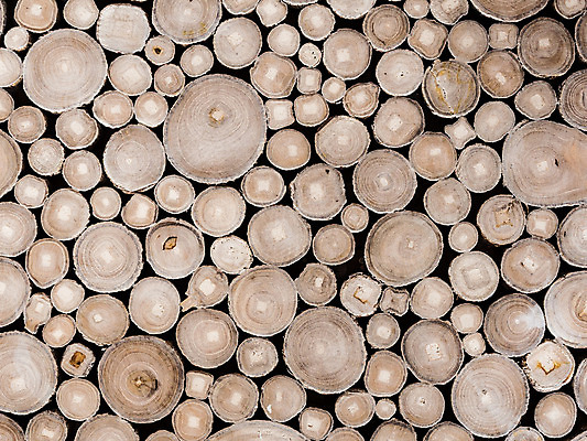 포토 JPG 해외이미지 나무 디자인 패턴 일러스트 자연 벽지 추상 벽돌 바닥 사람없음 목재 갈색 반지 소나무 원형 낟알 자르기 질감 통나무 잡동사니 내추럴 수목 해외202004 해외포토 도형 식물 컬러 무늬 재료 장신구 모션 생태계 파일형식 이미지허브