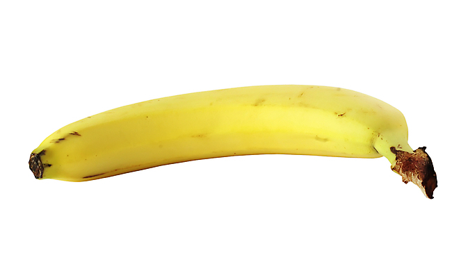 포토 JPG 해외이미지 식물 음식 다이어트 과일 바나나 건강 사람없음 노란색 에너지 신선 최고 맛 다발 해외202004 해외포토 컬러 컨셉 파일형식 이미지허브