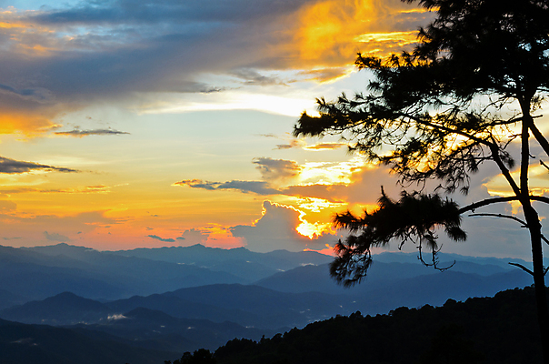포토 JPG 해외이미지 나무 구름 공원 실루엣 아시아 태국 자연 하늘 산 그림자 풍경 사람없음 야외 파란색 컬러풀 햇빛 태양 노란색 일출 일몰 새벽 안개 소나무 황금 저녁 산등성이 산악지대 강렬 전국 절정 해외202004 해외포토 자연요소 식물 공공시설 나라 컬러 날씨 촬영기법 노을 야간 생태계 파일형식 이미지허브