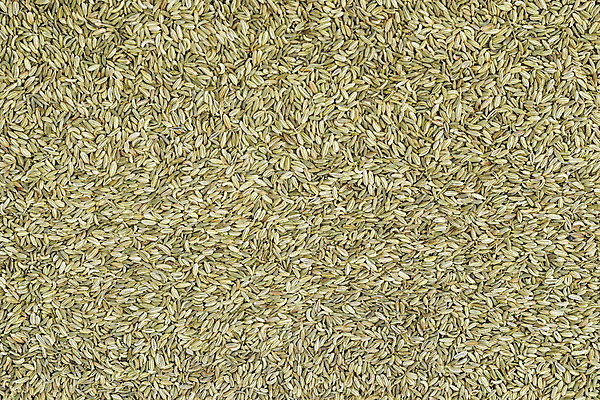 포토 JPG 해외이미지 식물 음식 백그라운드 재료 자연 건조 건강 요리 씨앗 동양인 사람없음 초록색 주방 양념 조미료 맛 인도인 허브 향신료 유기농 매움 향기 향 채식주의자 해외202004 해외포토 외국인 웰빙 컬러 컨셉 인종 생태계 채식 냄새 향미료 파일형식 이미지허브