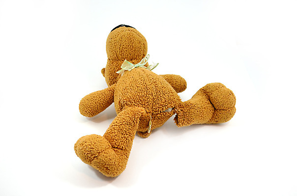 포토 JPG 해외이미지 인형 장난 놀이 사람없음 한개 눕기 장난감 갈색 우정 죽음 개 눈물 긍정 해외202004 해외포토 1 감정 컬러 컨셉 포유류 모션 친구 파일형식 이미지허브