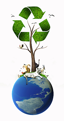 포토 JPG 해외이미지 식물 동물 디자인 나비 컨셉 잎 자연 조류 사슴 화살 안전 사람없음 그래픽 초록색 세계 환경 치킨 재활용 에너지 토끼 호랑이 보호 심볼 사인 에코 생태계 순환 재활용품 타조 내추럴 생태학 해외202004 해외포토 교육 컬러 곤충 포유류 모션 반려동물 친환경 닭고기요리 파일형식 이미지허브