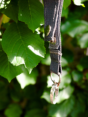 포토 JPG 해외이미지 나무 식물 커플 기념일 꽃 결혼 자연 함께함 사랑 미술 사람없음 가로 빛 금속 정원 봄 벚꽃 나뭇가지 축하 반지 쌍 원형 황금 닫기 보석 심볼 오브젝트 싱글 약혼 내추럴 통일 해외202004 해외포토 도형 계절 감정 컨셉 장신구 관계 모션 재질 문화예술 이벤트 광석 생태계 약속 파일형식 이미지허브