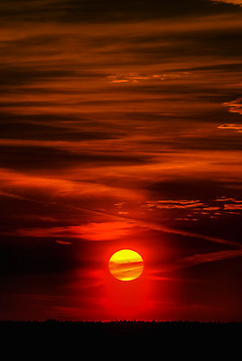 포토 JPG 해외이미지 구름 오렌지 자연 하늘 풍경 사람없음 빨간색 빛 태양 노란색 일출 힘 일몰 시간 뜨거움 해외202004 해외포토 자연요소 컬러 과일 노을 생태계 파일형식 이미지허브