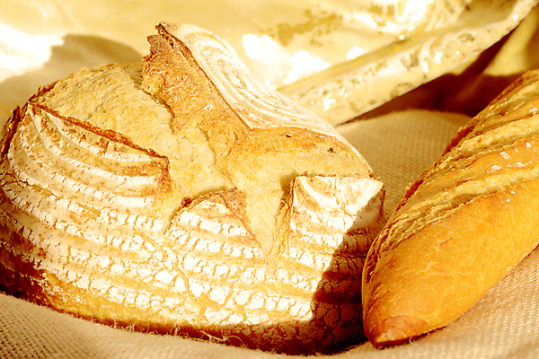 포토 JPG 해외이미지 접시 음식 빵 농업 자연 날씨 건조 건강 요리 사람없음 식사 여러개 빵집 수확 껍질 시골 신선 시장 맛 아침식사 바게트 농부 시리얼 굽기 먹기 유기농 생태계 반죽 보리 장인 덩어리 내추럴 바이오 밭일 백리향 부스러기 옛날 해외202004 해외포토 직업 식기 웰빙 산업 다수 컨셉 모션 곡류 상점 구이 파일형식 이미지허브