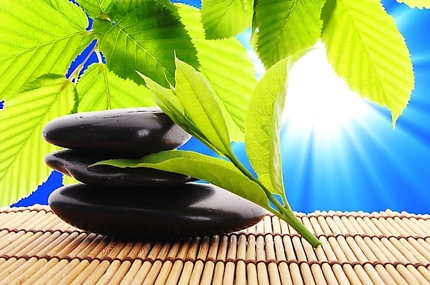 포토 JPG 해외이미지 라이프스타일 웰빙 선 잎 자연 휴식 건강 사람없음 초록색 태양 쌓기 평화 우주 탑 정원 맑음 스파 봄 신선 대나무 명상 에코 원예 보케 테라피 내추럴 돌봄 생태학 카피스페이스 해외202004 해외포토 자연요소 나무 식물 건축물 계절 교육 컬러 컨셉 모션 날씨 취미 생활 뷰티 환경 공백 생태계 파일형식 이미지허브