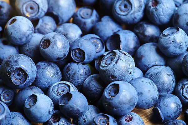 포토 JPG 해외이미지 열매 음식 백그라운드 농업 다이어트 과일 재료 자연 탁자 건강 사람없음 파란색 농작물 식사 시골 신선 맛 먹기 유기농 블루베리 북쪽 블랙베리 흙더미 건강식 내추럴 배급 변소 숙성 월귤 채식주의자 많음 비건 해외202004 해외포토 식물 웰빙 산업 컬러 가구 컨셉 모션 흙 방향 생태계 채식 파일형식 더미 이미지허브