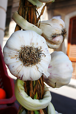 포토 JPG 해외이미지 음식 백그라운드 잎 채소 재료 자연 건강 마늘 사람없음 초록색 세일 흰색 시장 먹기 향신료 유기농 날것 해외202004 해외포토 식물 웰빙 컬러 모션 생태계 향미료 파일형식 이미지허브