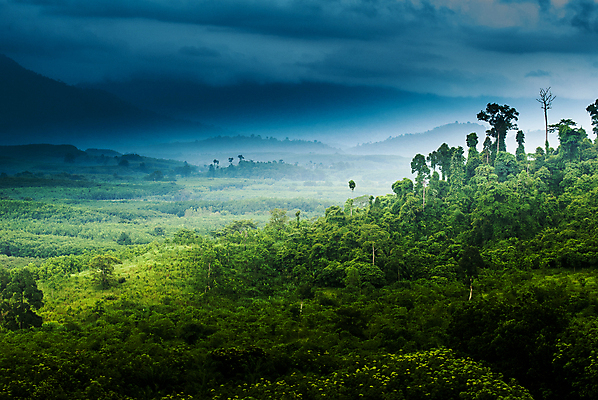 포토 JPG 해외이미지 나무 식물 구름 계절 유럽 여행 밭 자연 하늘 날씨 산 독일 사람 풍경 사람없음 야외 초록색 여름 파란색 계곡 봄 하이킹 금지 시골 소나무 숲 언덕 알프스 장면 절정 가문비나무 바이에른 바이에른사람 해외202004 해외포토 자연요소 나라 컬러 농업 레저 생태계 파일형식 이미지허브