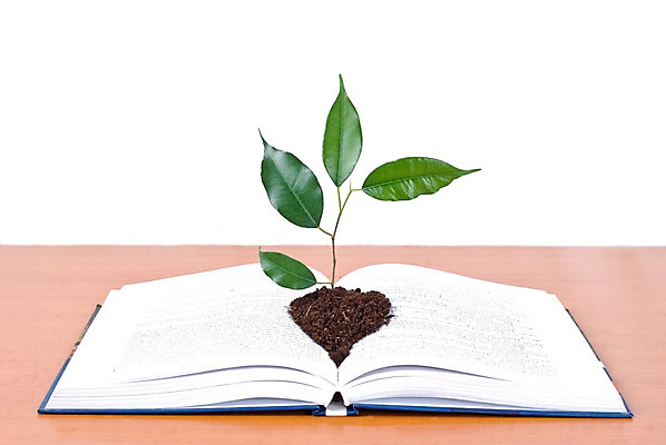 포토 JPG 해외이미지 나무 식물 교육 종이 문화 과학 백그라운드 컨셉 비즈니스 학교 성공 추상 아이디어 사람없음 책 빨간색 초록색 스터디 쌓기 환경 검은색 장비 정보 흰색 도서관 보호 정상 큼 땅 심볼 읽기 오브젝트 사인 교과서 문학 양장본 흙더미 고립 땅바닥 떠남 생태학 지능 해외202004 해외포토 컬러 무늬 모션 교재 바닥 학습 흙 크기 파일형식 더미 이미지허브