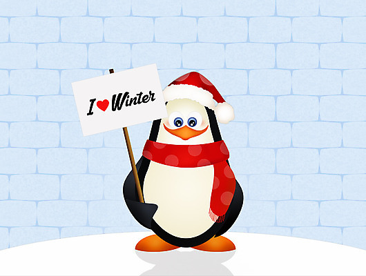 포토 JPG 해외이미지 동물 계절 겨울 일러스트 포유류 자연 조류 사람없음 냉동 얼음 목도리 추위 서리 캡모자 해외202004 해외포토 자연요소 모자_잡화 잡화 생태계 파일형식 이미지허브