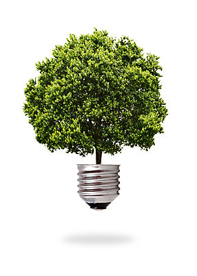 포토 JPG 해외이미지 모양 나무 식물 백그라운드 컨셉 전구 자연 유리 주택 실내 사람없음 초록색 빛 글로벌 태양 새싹 환경 힘 재활용 행성 에너지 성장 흰색 램프 투명 스마트 백열등 에코 생태계 문제 문제풀이 바둑 유지 고립 돌봄 생태학 텅스텐 해외202004 해외포토 자연요소 교육 컬러 모션 재질 놀이 조명 내부 건물 우주 원소 친환경 파일형식 이미지허브