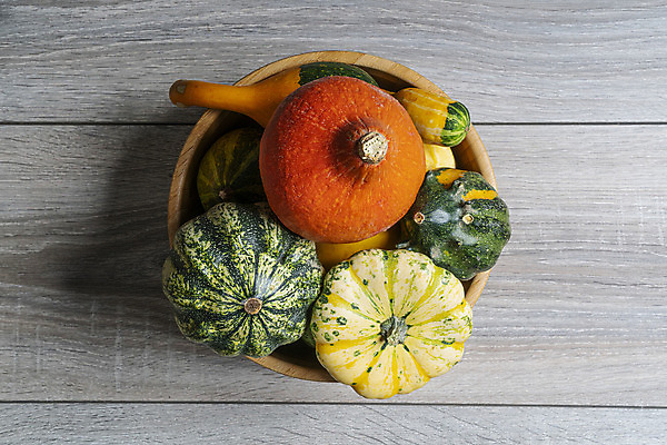 포토 JPG 해외이미지 나무 계절 줄기 잎 농업 채소 오렌지 자연 탁자 호박 종류 사람없음 야외 목재 장식 빛 컬러풀 노란색 우주 정원 여러개 미니어처 할로윈 수확 가을 시골 신선 작음 수집 유기농 도토리 박 모음 스쿼시 미니 주키니 해외202004 해외포토 식물 웰빙 산업 스포츠 컬러 가구 다수 과일 재료 한글 구기 모형 견과류 크기 생태계 파일형식 이미지허브