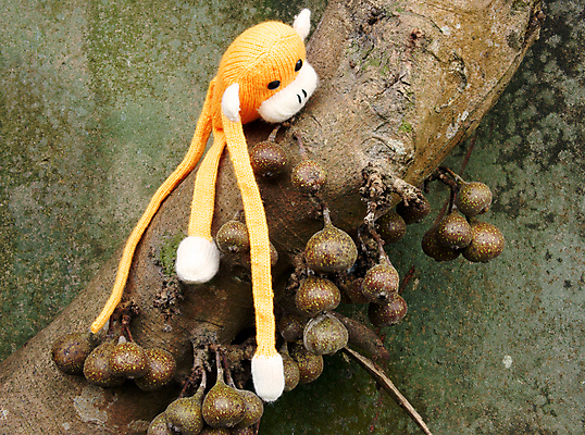 포토 JPG 해외이미지 나무 동물 행복 과일 가족 자연 새해 취미 사람없음 야외 컬러풀 장난감 놀람 원숭이 뜨개질 그룹 군중 연도 심볼 니트 오르기 장면 해피뉴이어 내추럴 양모 2016년 핸드메이드 해외202004 해외포토 식물 감정 컬러 상의 포유류 관계 모션 표정 사람 새해인사 직물 생태계 파일형식 이미지허브