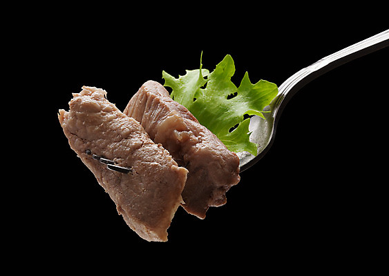 포토 JPG 해외이미지 접시 클리핑패스 음식 백그라운드 포크 육류 돼지고기 사람없음 초록색 금속 검은색 식사 저녁식사 튀김 신선 그릴 상추 굽기 고립 해외202004 해외포토 식기 컬러 채소 식재료 재질 주방용품 구이 파일형식 이미지허브