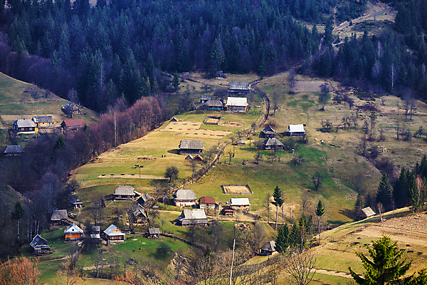 포토 JPG 해외이미지 나무 도로 여행 백그라운드 밭 자연 산 주택 사람 풍경 사람없음 초록색 농경지 노란색 마을 계곡 맑음 봄 시골 숲 4월 언덕 우크라이나 해외202004 해외포토 식물 계절 유럽 길 컬러 농업 교통시설 날씨 건물 농장 날짜 생태계 파일형식 이미지허브