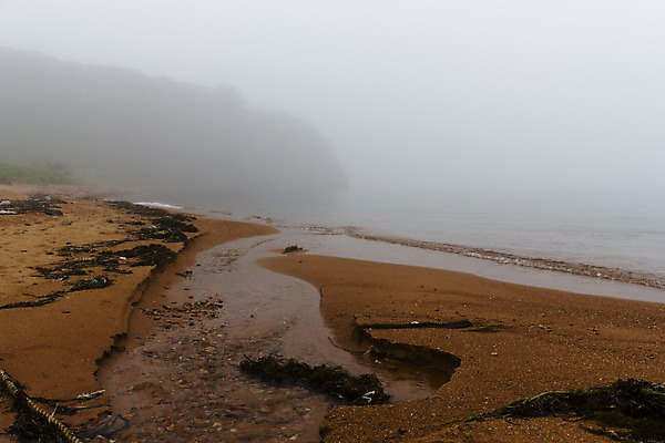 포토 JPG 해외이미지 공원 모래 파도 바다 섬 여행 자연 조류 하늘 아침 휴가 풍경 해변 사람없음 물 여름 파란색 빛 태양 노란색 일출 일몰 추위 슬픔 안개 바위 흰색 만 바 서핑 언덕 장면 태평양 내추럴 뿌연 수평선 해외202004 해외포토 주간 자연요소 동물 계절 공공시설 감정 컬러 날씨 노을 돌_바위 수상스포츠 생태계 파일형식 이미지허브