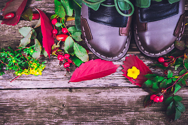 포토 JPG 해외이미지 식물 계절 공원 열매 꽃 신발 잎 벤치 과일 자연 포도 사람없음 빨간색 초록색 여름 장미 정원 봄 산책 벚꽃 가을 숲 9월 11월 시골집 도토리 10월 정물화 해외202004 해외포토 공공시설 컬러 의자 휴식 주택 견과류 날짜 그림 생태계 파일형식 이미지허브