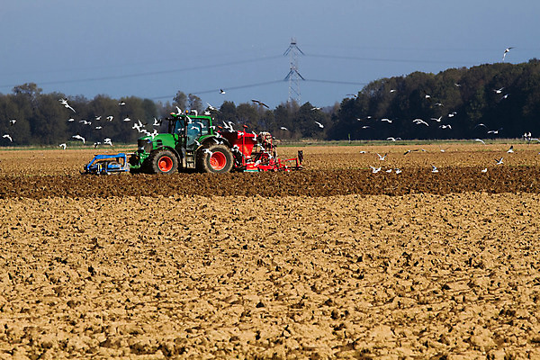 포토 JPG 해외이미지 식물 계절 지구 음식 밭 농업 비즈니스 교통시설 자연 조류 건강 씨앗 잔디 사람없음 빨간색 초록색 농장 농경지 환경 경작 기계 장비 수확 공구 시골 업무 작업 농부 시리얼 뿌리기 점토 트랙터 땅바닥 밭일 쟁기 파종 해외202004 해외포토 동물 직업 산업 컬러 교통 모션 바닥 농사 도구 농기계 시설 생태계 특수차량 파일형식 이미지허브