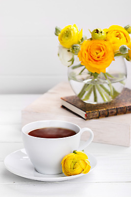 포토 JPG 해외이미지 전통 꽃잎 꽃 음료 백그라운드 잎 자연 유리 탁자 아침 건조 건강 동양인 사람없음 목재 컵 초록색 물 농작물 약 일본 중국 머그컵 수확 벚꽃 신선 뜨거움 아침식사 정상 허브 상쾌 유기농 질감 흙더미 해외202004 해외포토 주간 자연요소 나무 식물 식기 웰빙 감정 아시아 컬러 가구 농업 재료 의학 재질 인종 식사 흙 생태계 파일형식 더미 이미지허브