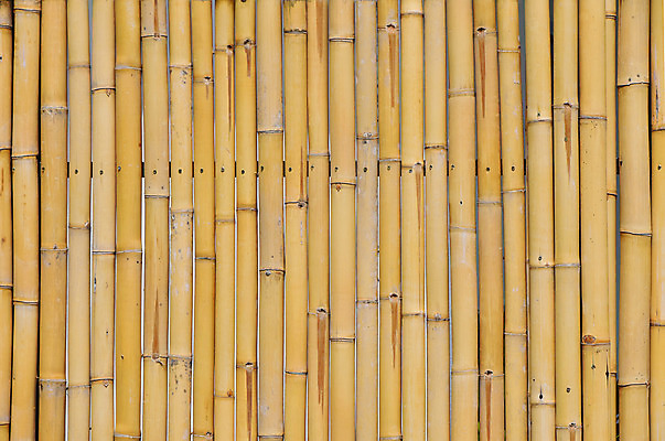 포토 JPG 해외이미지 백그라운드 동양인 사람없음 세로 울타리 노란색 얼룩 대나무 질감 내추럴 옛날 해외202004 해외포토 나무 컬러 인종 담장 파일형식 이미지허브