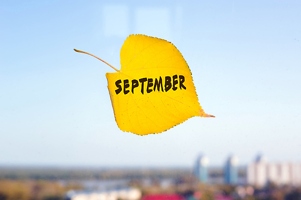 포토 JPG 해외이미지 계절 백그라운드 컨셉 잎 오렌지 텍스트 창문 표면 추상 건조 사람없음 장식 단어 도시풍경 컬러풀 노란색 라벨 환경 슬픔 가을 하트 도시 그리기 황금 소프트포커스 9월 서식 스카이라인 옛날 혼란 해외202004 해외포토 모양 식물 문자 감정 컬러 무늬 과일 모션 프레임 촬영기법 풍경 날짜 파일형식 이미지허브