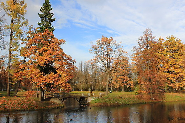 포토 JPG 해외이미지 나무 구름 호수 자연 하늘 사람없음 반사 가을 시트 해외202004 해외포토 자연요소 식물 계절 생태계 파일형식 이미지허브