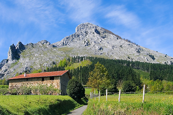 포토 JPG 해외이미지 사람없음 해외202004 해외포토 파일형식 이미지허브