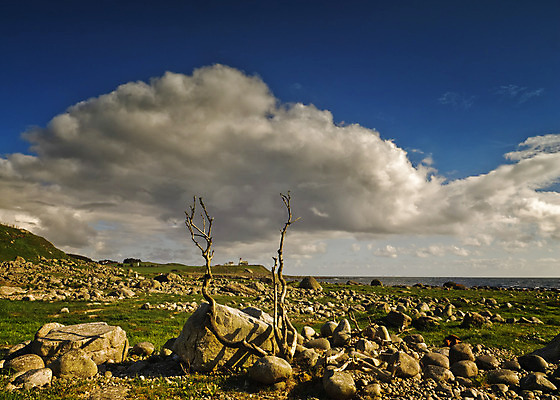 포토 JPG 해외이미지 유럽 자연 북유럽 노르웨이 풍경 사람없음 야외 스칸디나비아 해외202004 해외포토 나라 생태계 파일형식 이미지허브